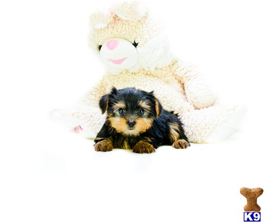 addisongood Picture 1